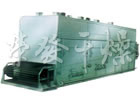 DWC Series Dryer for Vegetable Dehydration